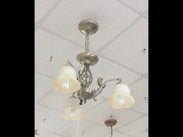 Ëþñòðû áðîíçîâûå