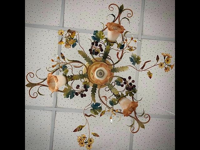Ëþñòðû-ôëîðèñòèêà